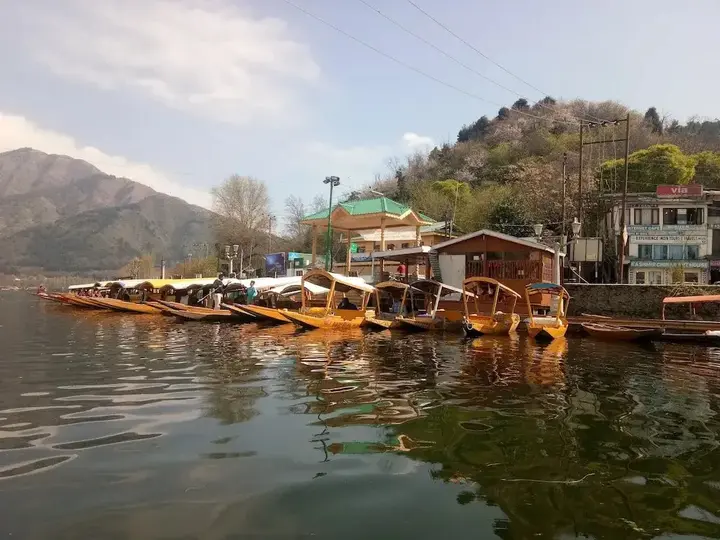 Шринагар: Ritz HouseBoat Srinagar