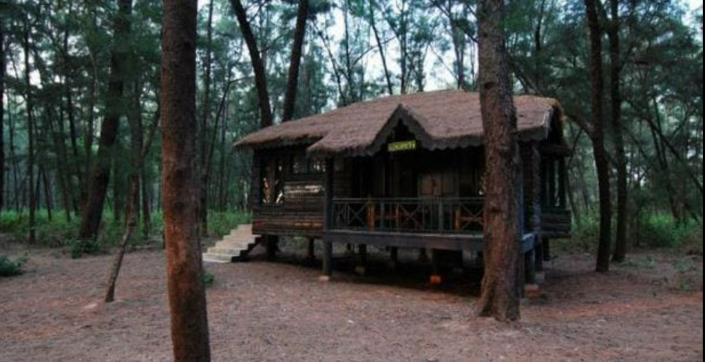 Карвар: Devbagh beach resort - Junglelodges
