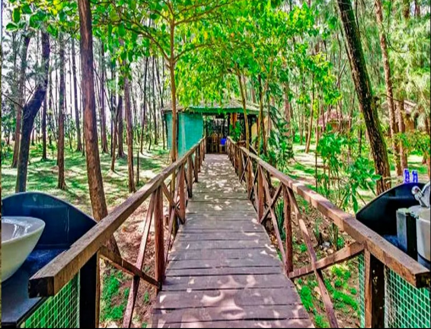 Devbagh beach resort - Junglelodges — фото 3