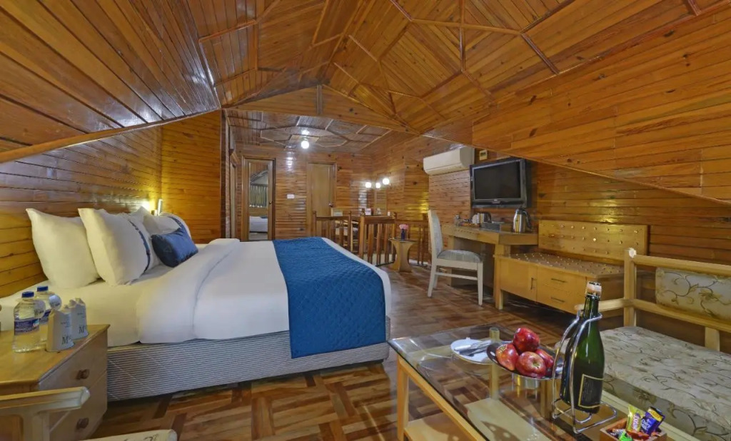Манали: The Explorers Inn Manali