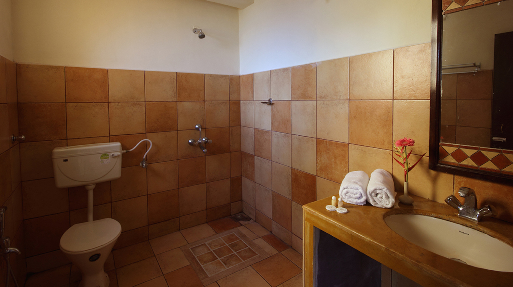 Южный Гоа: Отель Alagoa Resort