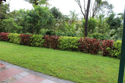 Sakleshpur: Hasiru Homestay