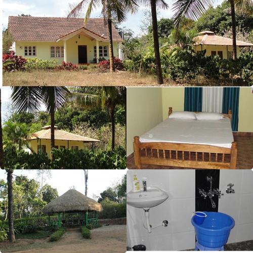 Sakleshpur: Hasiru Homestay