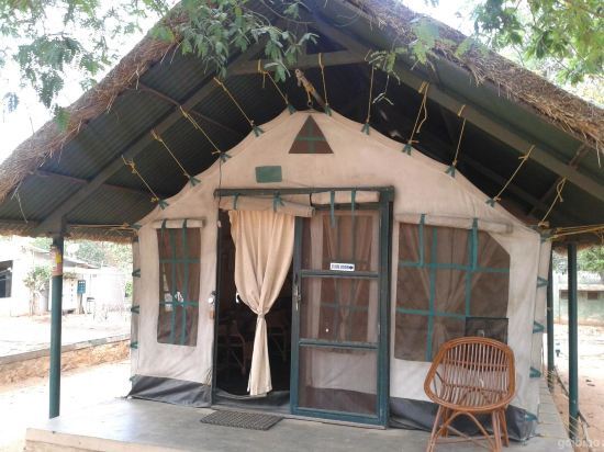 Бангалор: Bannerghatta Nature Camp-Jungle Lodges