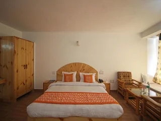 Манали: Hotel Bhrigu