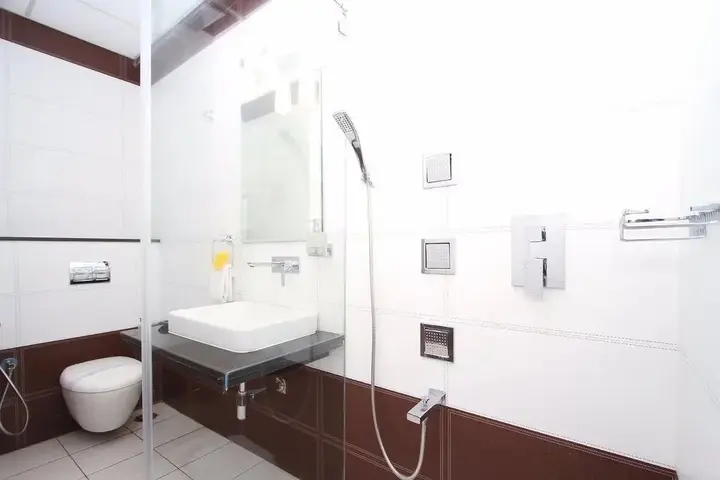 Майсур: Hotel Loksagar