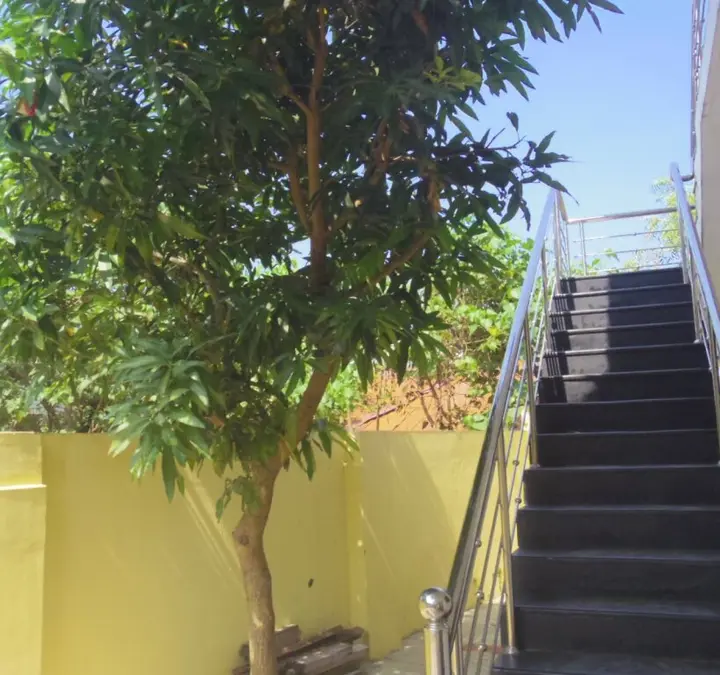 Коччи: Breath Inn Homestay