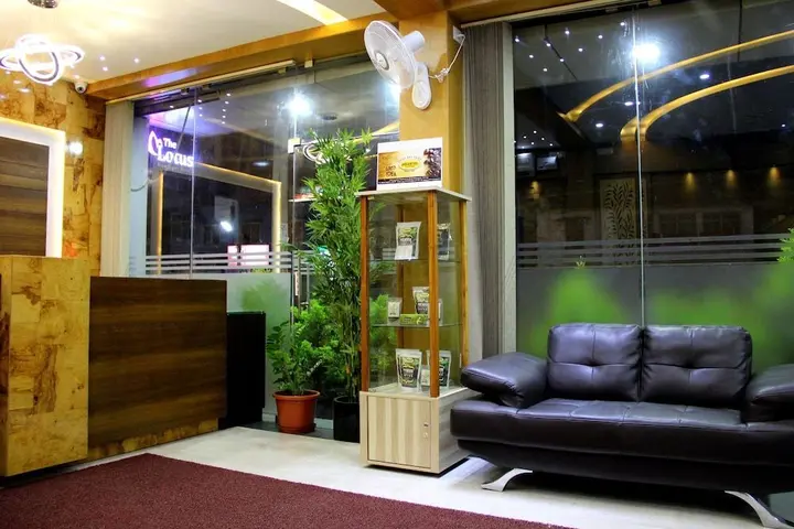 Шиккамагалуру: The Lotus Boutique Hotel
