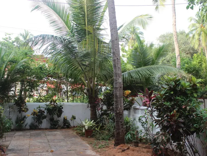 Калангут: C.M.Sieiro Guest House