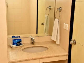 Бадди: Hotel Metro 43