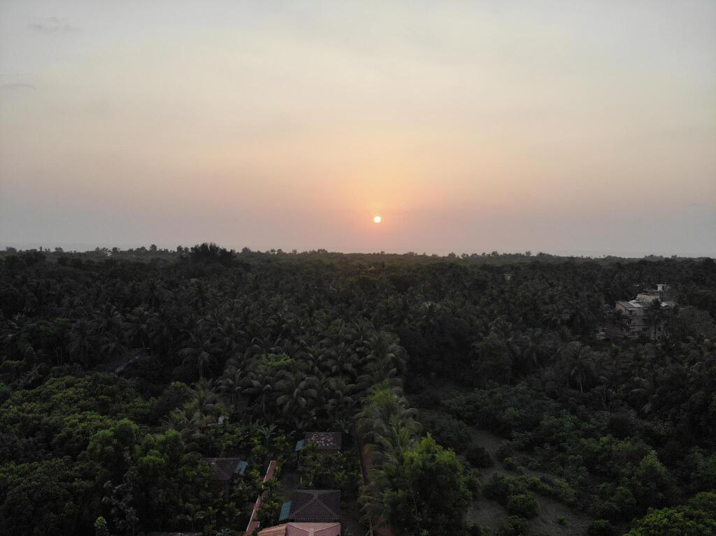 Go Green Spice Eco Resort — фото 3