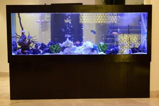 Южный Гоа: The Flora Grand