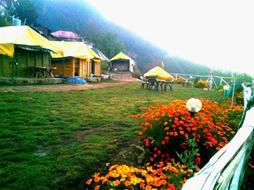 Dhanaulti  Wood Camp — фото 2