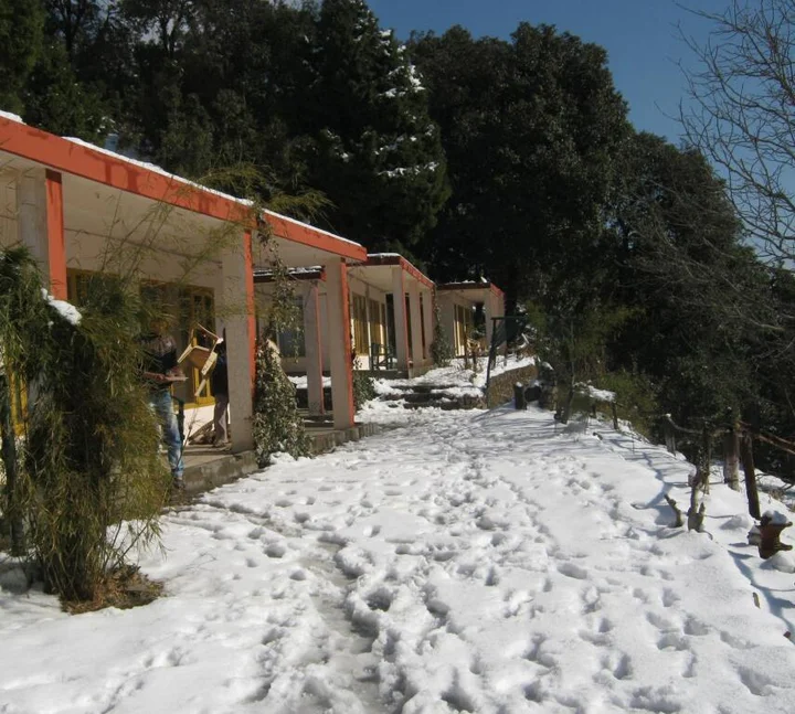 Наинитал: Janardan Resort Pangot