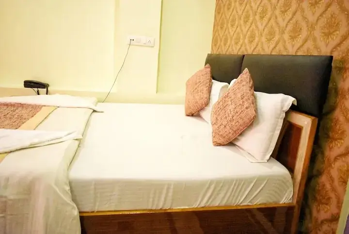Сарнатх: Hotel Picasso