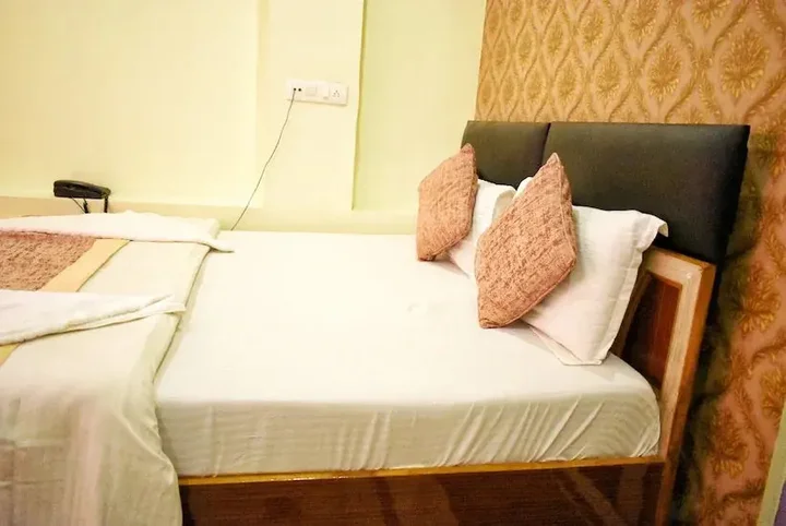 Сарнатх: Hotel Picasso