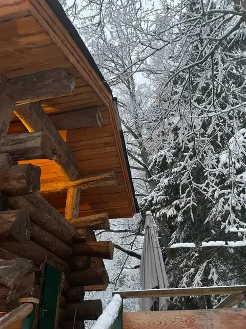 База отдыха Дубки — фото 5