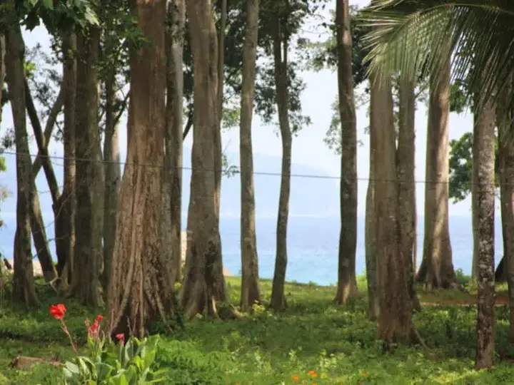 Остров Swaraj Dweep: Pearl Park Beach Resort