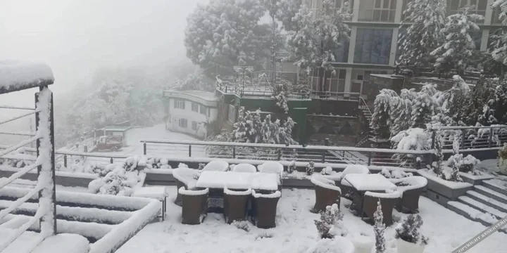 Солан: Barog Heights