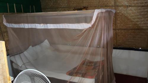 Коччи: Tantraa Homestay