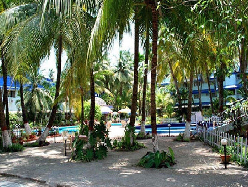 Coconut Ivy Resort — фото 2
