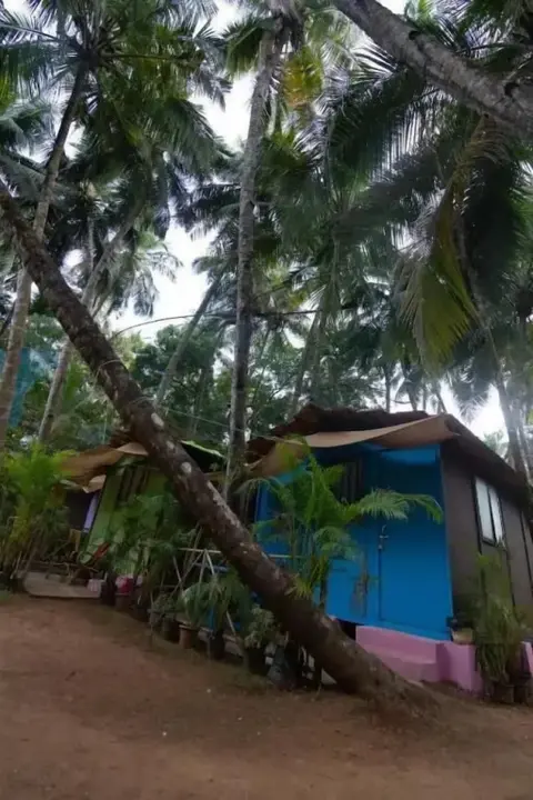 Южный Гоа: Saturn Beach Cottage