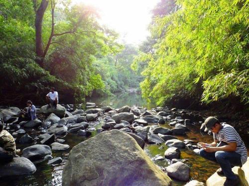 Гоникоппал: Camping In Remote Coorg