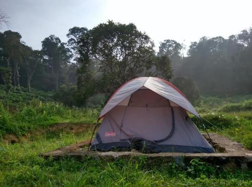 Гоникоппал: Camping In Remote Coorg