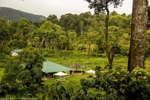 Гоникоппал: Camping In Remote Coorg