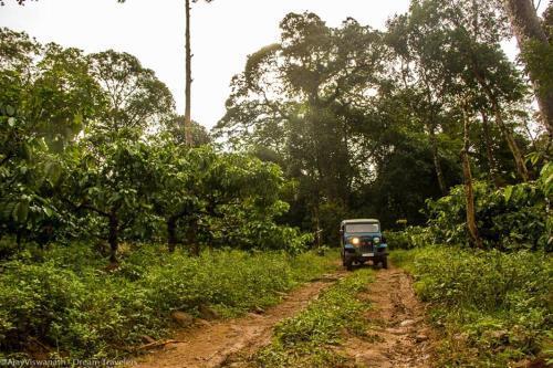 Гоникоппал: Camping In Remote Coorg