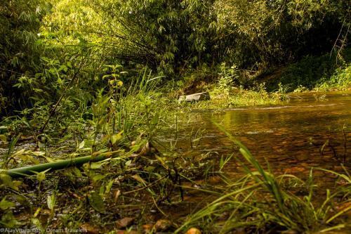 Гоникоппал: Camping In Remote Coorg