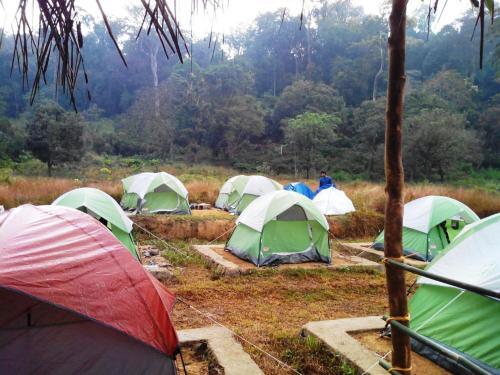 Гоникоппал: Camping In Remote Coorg