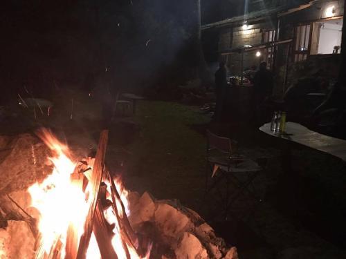 Tirthan Anglers' Retreat — фото 2