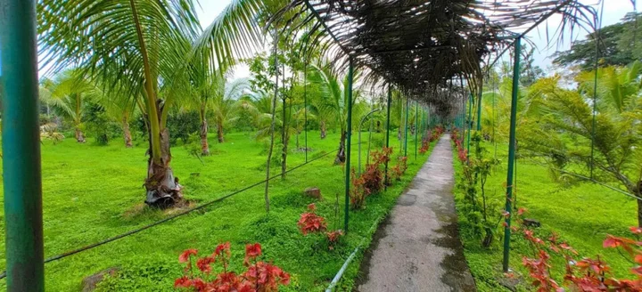 Кушалнагар: Coorg Nest Cottages