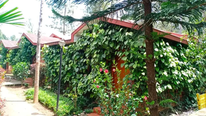 Кушалнагар: Coorg Nest Cottages