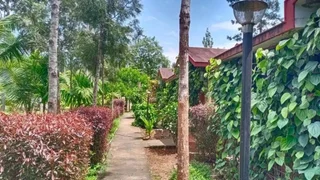 Кушалнагар: Coorg Nest Cottages