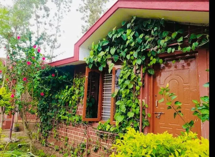 Кушалнагар: Coorg Nest Cottages