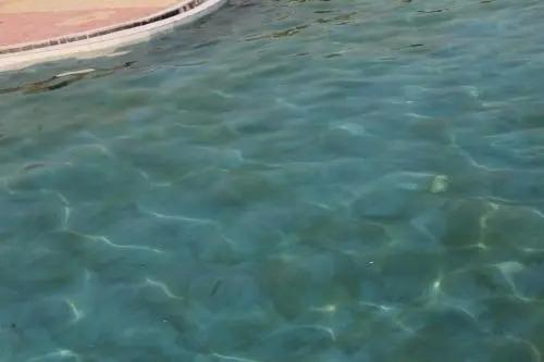Junagadm: Sorath Hotel & Resort