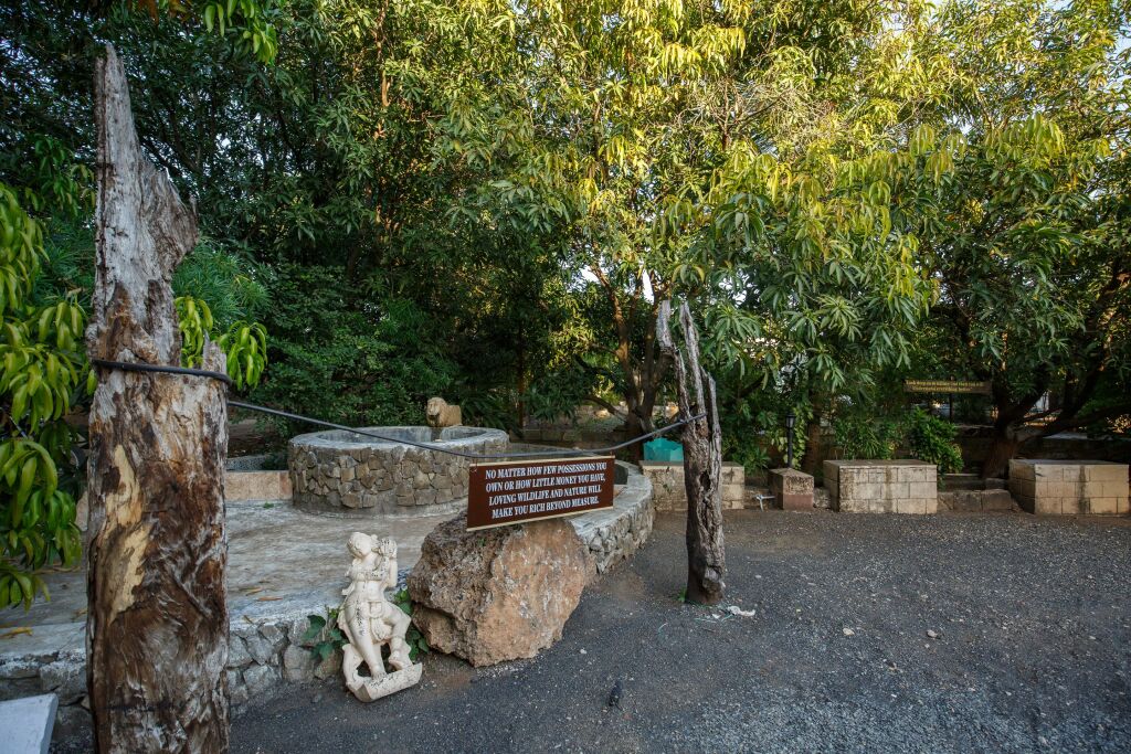 Сазан: Отель Gir Lions Paw Resort