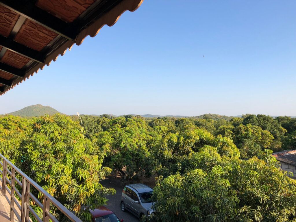Сазан: Отель Gir Lions Paw Resort