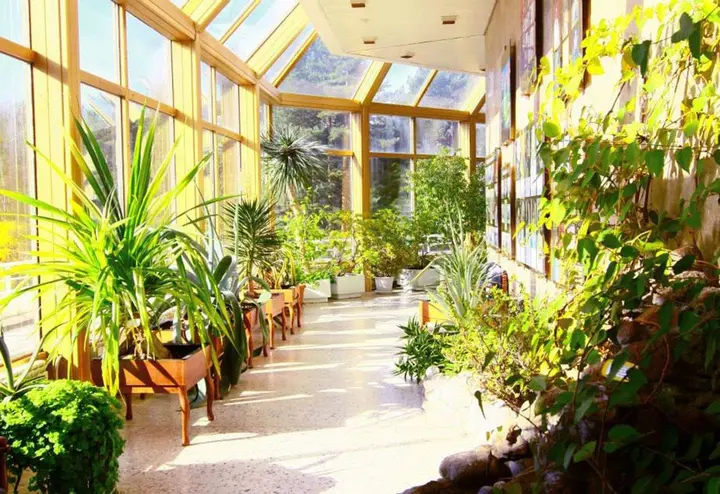 Сестрорецк: Sanatorij "Belye nochi"