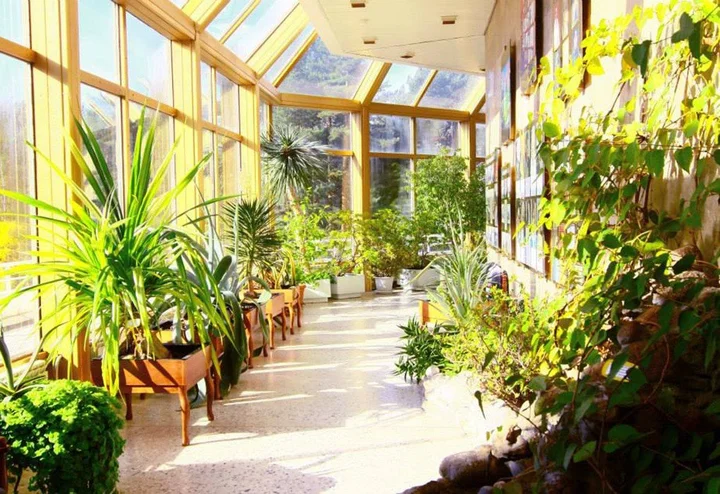 Сестрорецк: Sanatorij "Belye nochi"