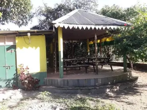 Дакшин Дхупджора: Green Tea Resort