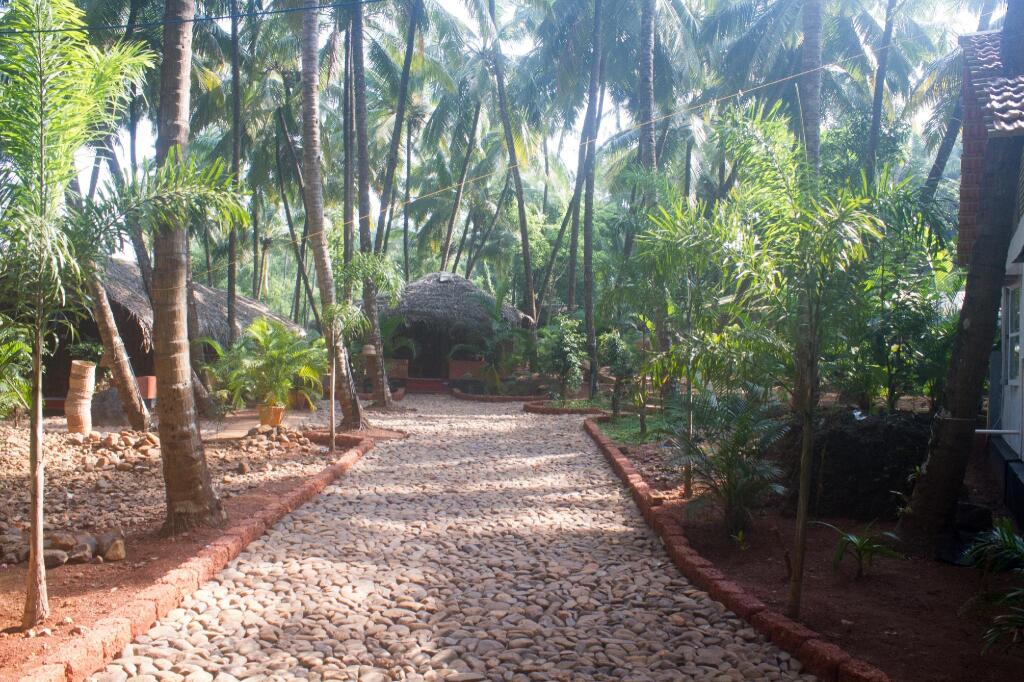 Южный Гоа: The Palm Trees Ayurvedic Resort Patnem