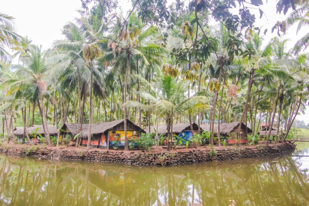 Южный Гоа: The Palm Trees Ayurvedic Resort Patnem