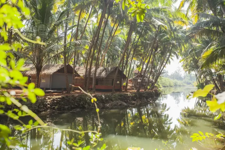 Южный Гоа: The Palm Trees Ayurvedic Resort Patnem