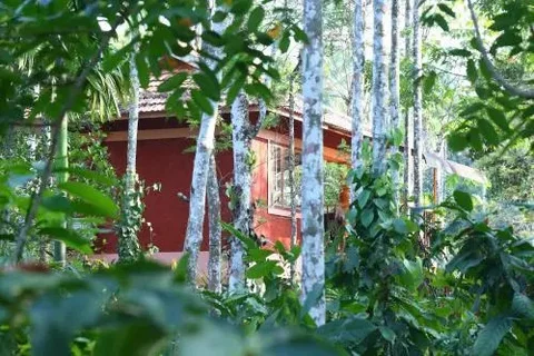 Султан-Батери: Wayanad Green Park