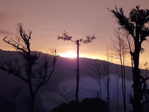 Шиккамагалуру: Kanasu's Homestay