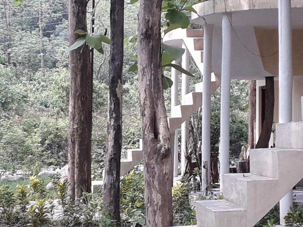 Corbett Jungle Inn — фото 4