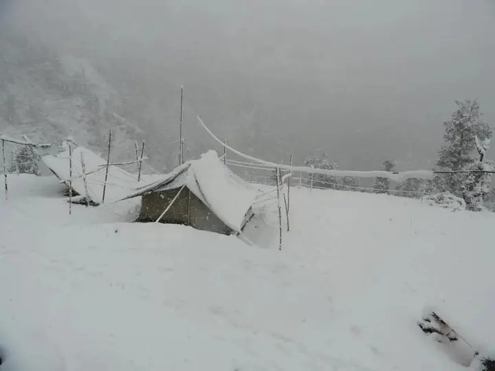 Техри: Dhanaulti Camp Homes And Nature Resort